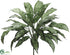 Silk Plants Direct Silver Queen Plant Shrub - Green - Pack of 6
