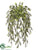 Tea Leaf Hanging Bush - Green Dark - Pack of 6