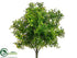 Silk Plants Direct Tea Leaf Bush - Green Two Tone - Pack of 12