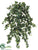 Needlepoint Ivy Hanging Bush - Green - Pack of 12