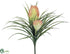 Silk Plants Direct Tillandsia Bush - Orange - Pack of 24