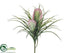 Silk Plants Direct Tillandsia Bush - Purple - Pack of 24