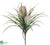 Tillandsia Bush - Yellow - Pack of 24