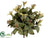 Magnolia Leaf Bush - Sage - Pack of 12