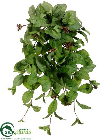 magnolia hanging plant Silk Plants Direct Large Magnolia Leaf Hanging Bush - Sage