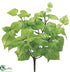 Silk Plants Direct Outdoor Potato Leaf Bush - Green - Pack of 12