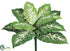Silk Plants Direct Giant Dieffenbachia Bush - Green - Pack of 12