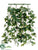 Ivy Wall Bush - Green White - Pack of 6