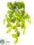 Silk Plants Direct Scindapsus Bush - Green Gray - Pack of 12