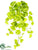Silk Plants Direct Pothos Bush - Green Cream - Pack of 12