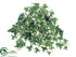 Silk Plants Direct Sage Ivy Hanging Plant Bush - Green White - Pack of 24