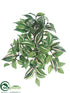Silk Plants Direct Wandering Jew Hanging Bush - Green Cream - Pack of 24