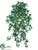 Sage Ivy Hanging Plant Bush - Green Two Tone - Pack of 6