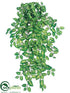 Silk Plants Direct Syngonium Hanging Bush - Green - Pack of 6