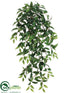 Silk Plants Direct Ruscus Hanging Bush - Green - Pack of 6