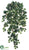Cottonwood Hanging Bush - Green - Pack of 12