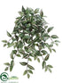 Silk Plants Direct Wandering Jew Hanging Bush - Green Cream - Pack of 12