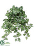 Silk Plants Direct Medium Syngonium Hanging Bush - Green - Pack of 12