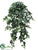 Medium Sage Ivy Hanging Bush - Green Two Tone - Pack of 6