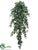 Medium Sage Ivy Hanging Bush - Green Two Tone - Pack of 6