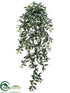 Silk Plants Direct Ruscus Hanging Bush - Green - Pack of 6