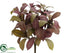 Silk Plants Direct Laurel Leaf Bush - Burgundy Green - Pack of 12