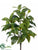 Silk Plants Direct Coffee Leaf Bush - Green Two Tone - Pack of 12