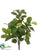 Silk Plants Direct Ficus Bush - Green Two Tone - Pack of 12