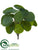 Watercress Leaf Bush - Green - Pack of 12