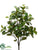 Ficus Bush - Green Two Tone - Pack of 6