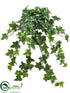 Silk Plants Direct Ivy Leaf Bush - Variegated - Pack of 6