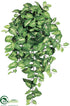 Silk Plants Direct Nephthytis Hanging Bush - Green - Pack of 12