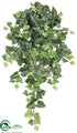 Silk Plants Direct Algerian Ivy Hanging Plant - Green - Pack of 12