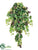Grape Leaf Hanging Plant - Green - Pack of 6