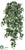 Ivy Hanging Plant - Variegated - Pack of 6