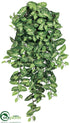 Silk Plants Direct Nephthytis Hanging Bush - Green - Pack of 6