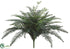 Silk Plants Direct Large River Fern Bush - Green - Pack of 6