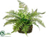 Silk Plants Direct Fern, Flower - Green - Pack of 6