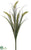 Rattail Grass Bush - Green - Pack of 12