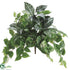 Silk Plants Direct Zebra, Boston Fern, Dieffenbachia Bush - Green White - Pack of 6