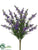 Lavender, Fern Bush - Lavender - Pack of 24