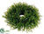 Tea Leaf Candle Ring Centerpiece - Green - Pack of 12