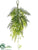 Silk Plants Direct Fern Teardrop - Green - Pack of 6