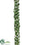 Ivy Garland - Variegated - Pack of 6