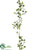 Lace Ivy Garland - Variegated - Pack of 12
