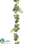 Ivy Garland - Green Frosted - Pack of 6