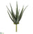 Soft Agave Pick - Green Gray - Pack of 3