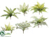 Silk Plants Direct Fern Pick - Green Gray - Pack of 4