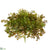 Faux Moss Pick - Green - Pack of 12