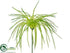 Silk Plants Direct Grass Pick - Green - Pack of 12